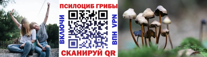 Галлюциногенные грибы прущие грибы KRAKEN зеркало Адыгейск